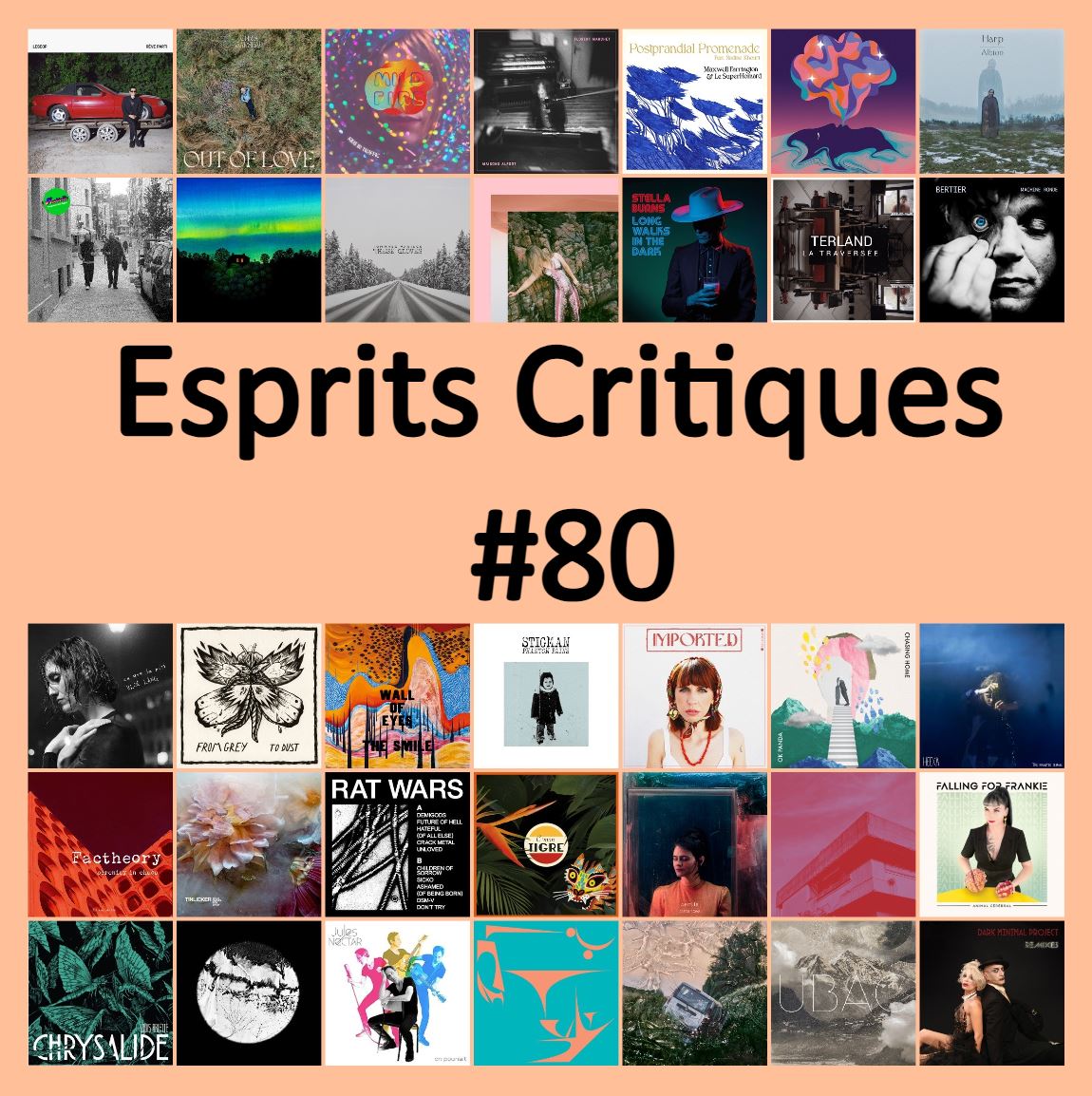 Esprits Critiques Compilation #80