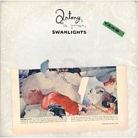 Antony And The Johnsons - Swanlights