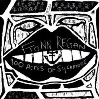 Fionn Regan - 100 Acres Of Sycamore