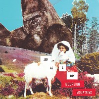 Joy As A Toy - Mourning Mountains