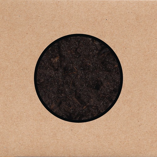 Swans – Birthing