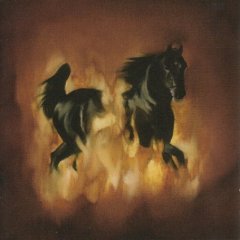 The Besnard Lakes : The Besnard Lakes Are The Dark Horse