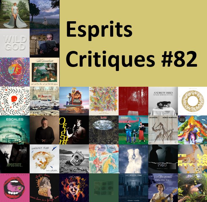 Esprits Critiques Compilation #82